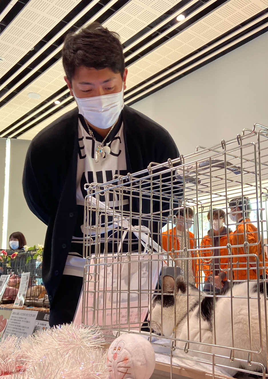 日本動物福祉協会の犬猫譲渡会に出席し、優しい表情で猫を見守る巨人岡本和（撮影・小早川宗一郎）