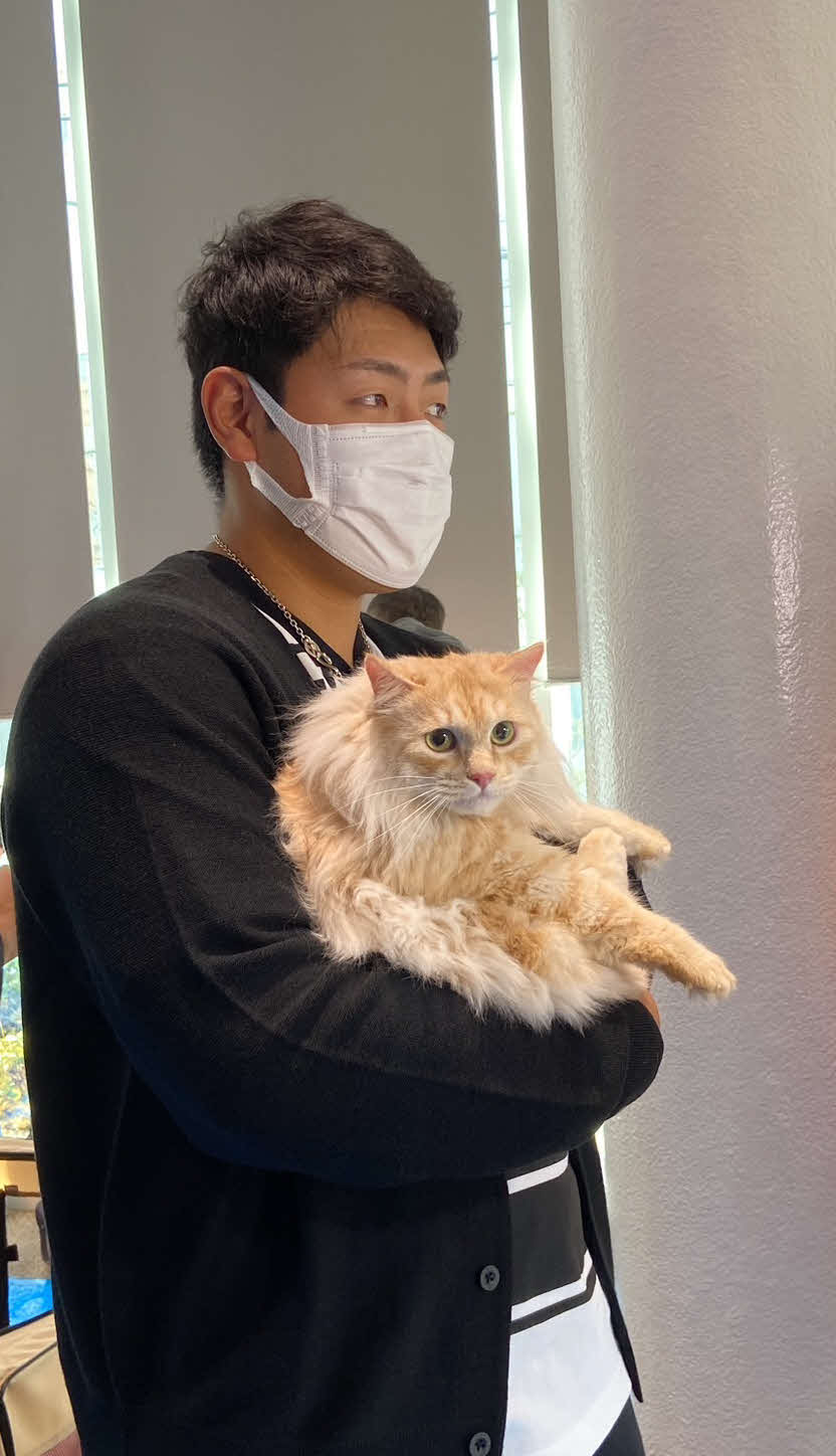 もふもふの猫を抱きかかえて癒やされる巨人岡本和（撮影・小早川宗一郎）