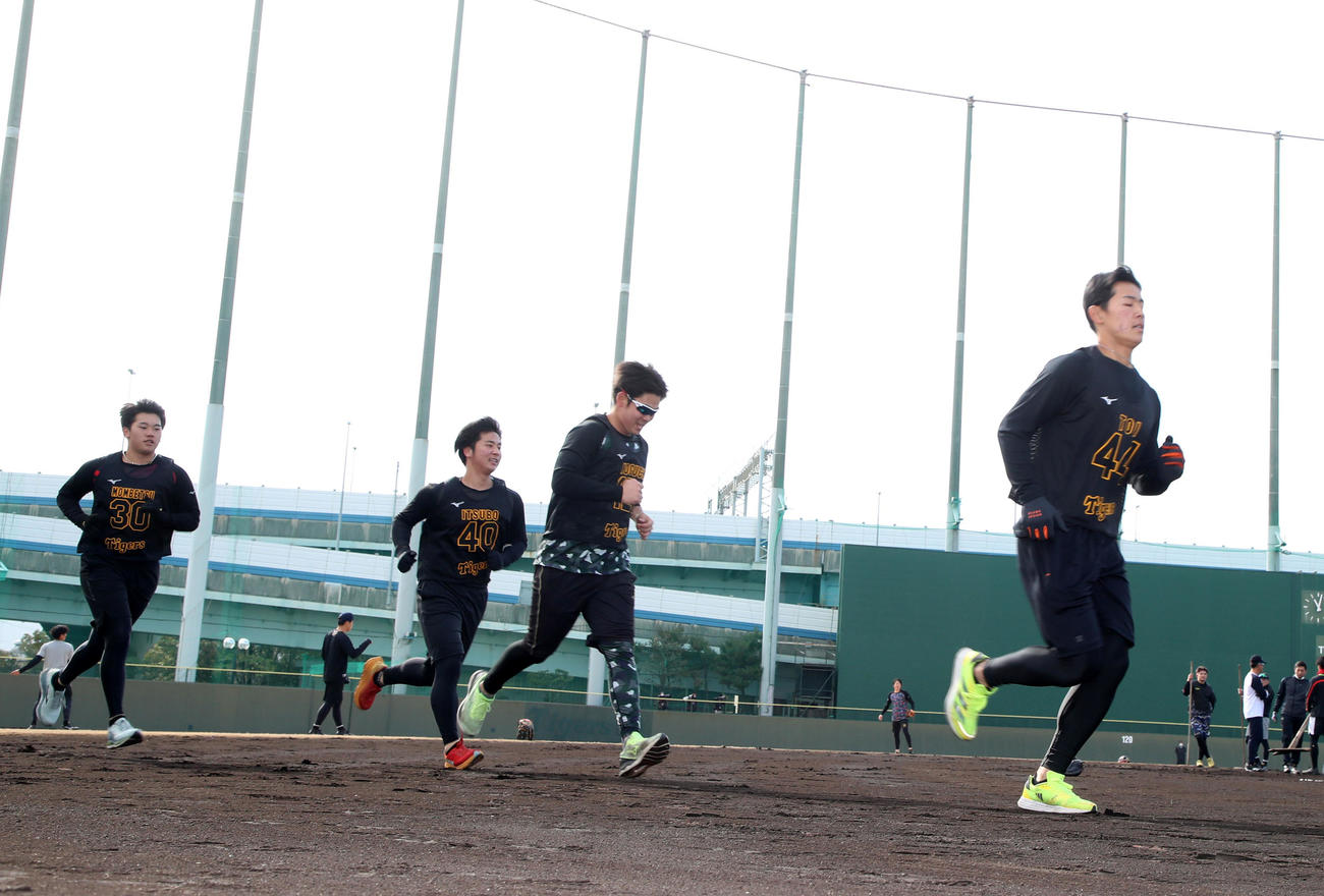 3000メートル走を行う阪神新人の左から門別、井坪、野口、戸井（撮影・加藤哉）