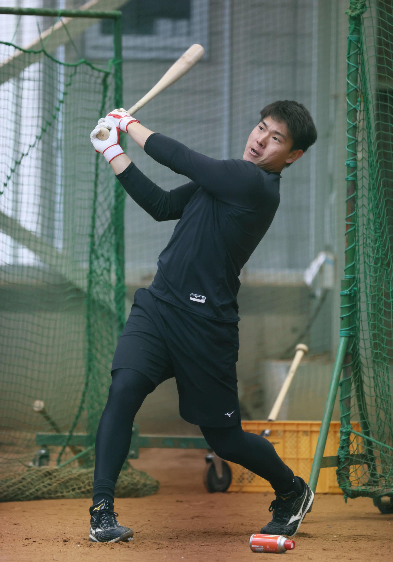 打撃練習をするロッテ安田＝2023年1月19日