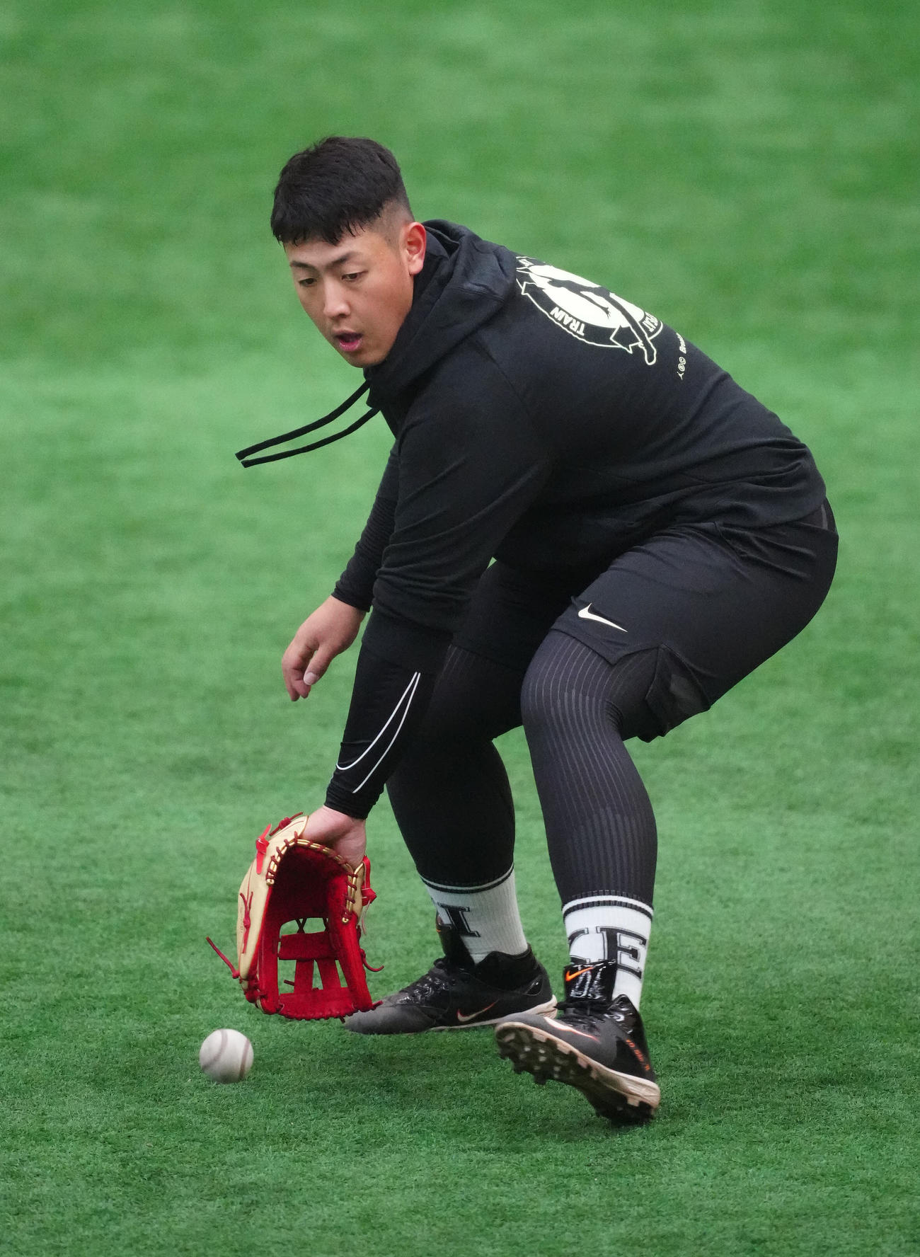 自主トレを公開した巨人岡本和（撮影・江口和貴）