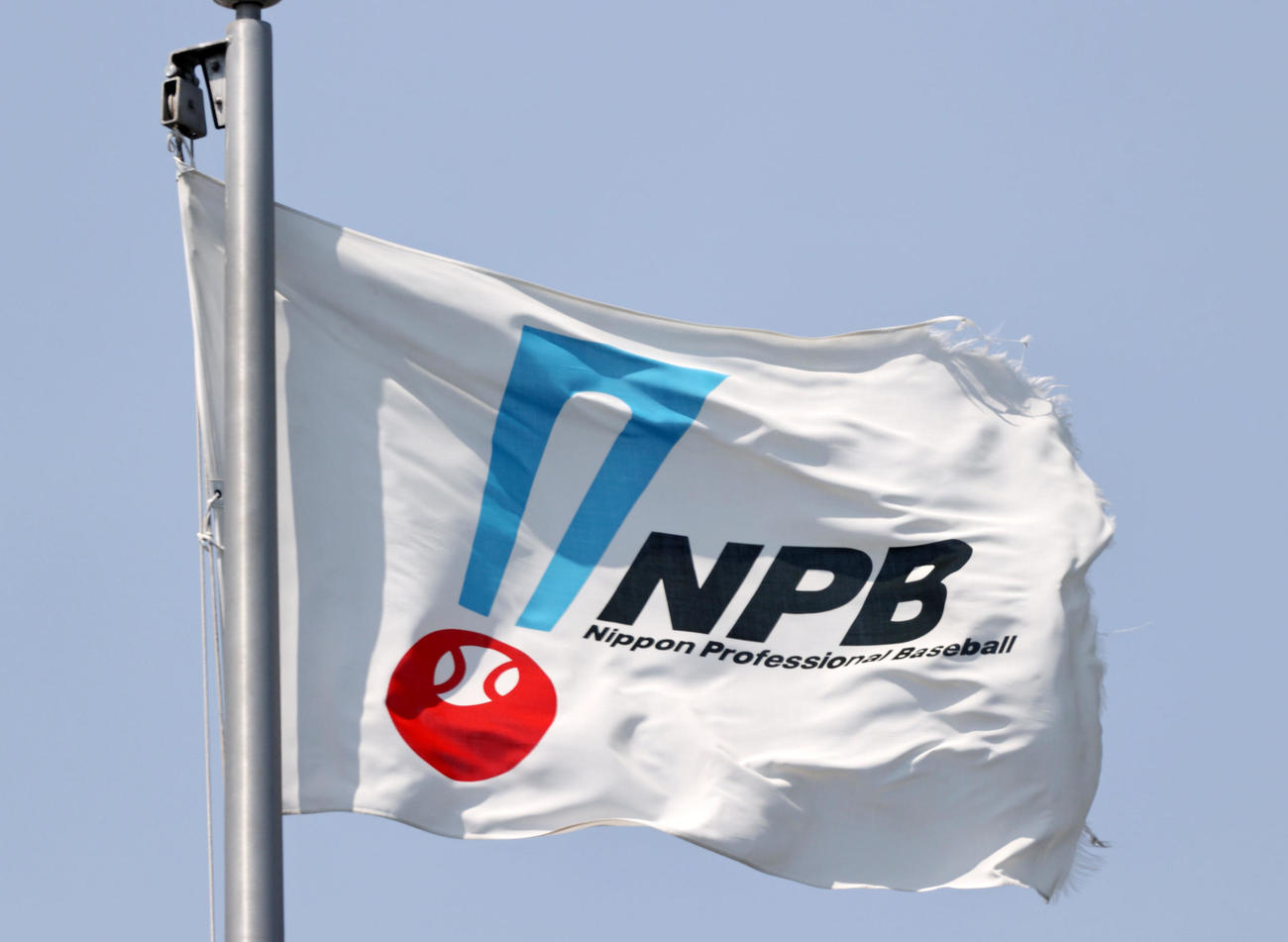 NPB旗