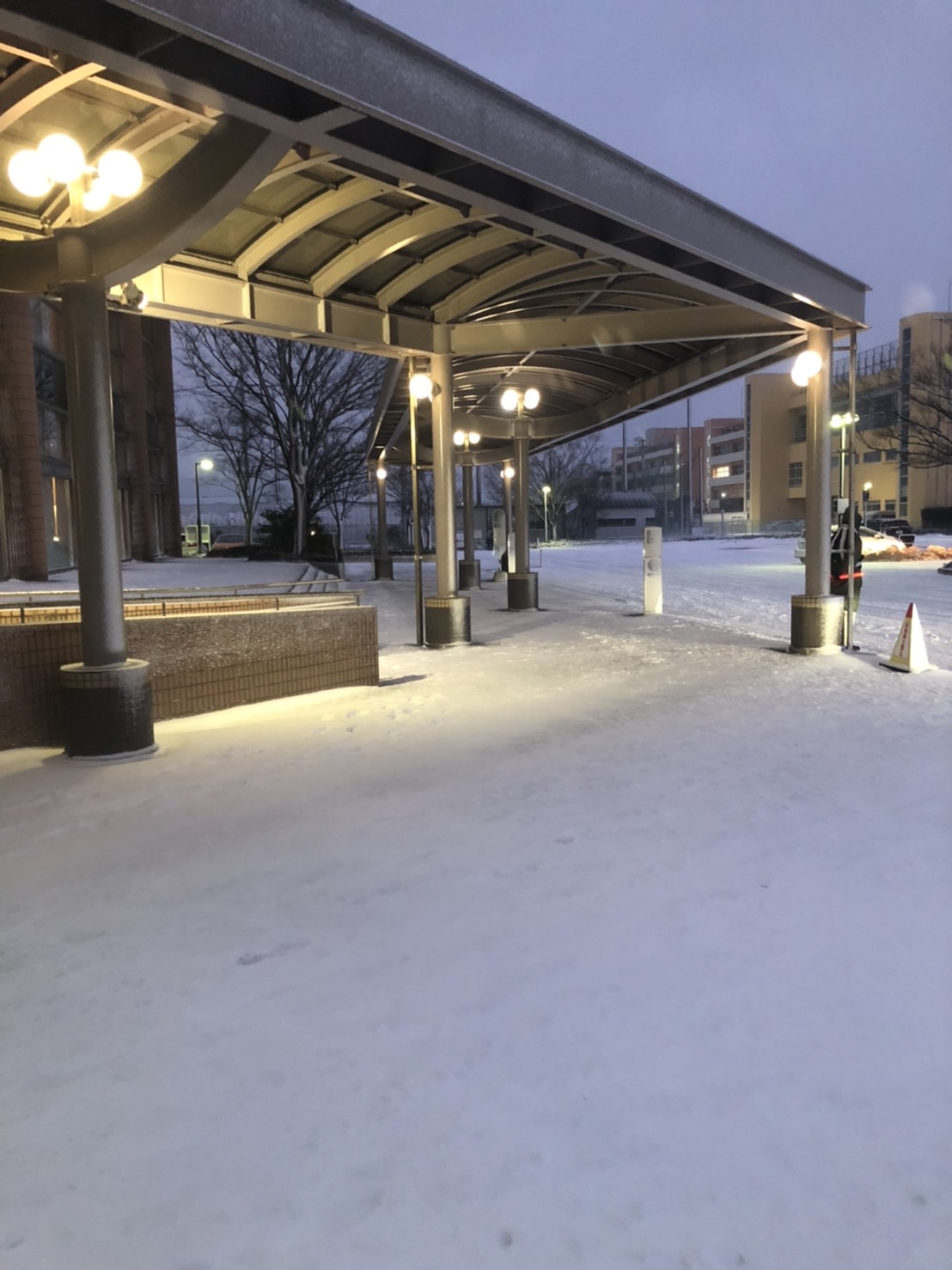 DeNA三浦監督のトークショーが開催された新潟市内の「新潟テルサ」に積もった雪（撮影・久保賢吾）