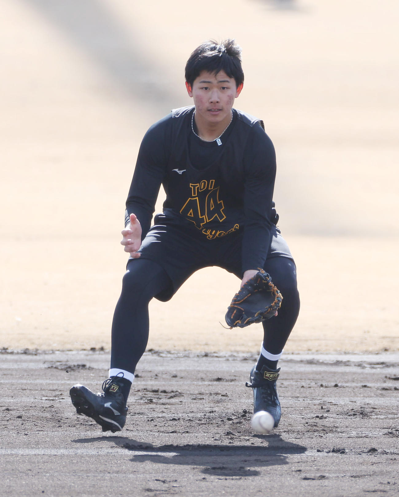 遊撃でノックを受ける阪神戸井零士（撮影・前田充）