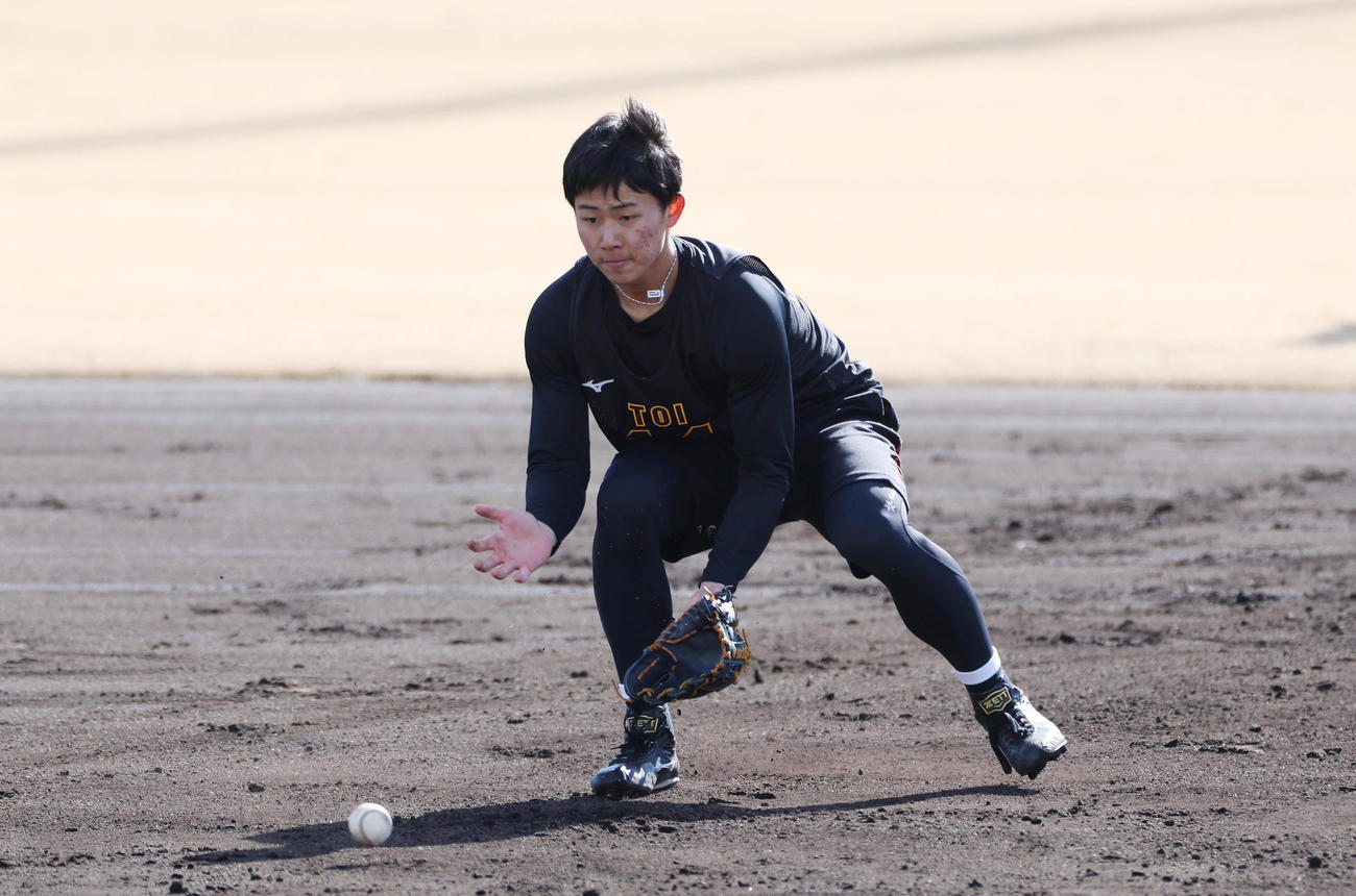 遊撃でノックを受ける阪神戸井零士（撮影・前田充）