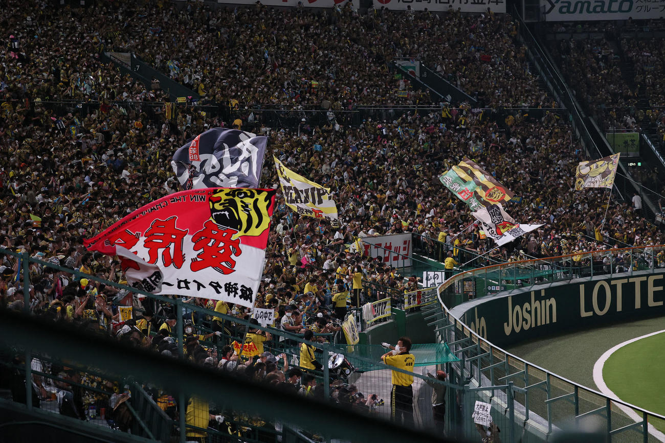 甲子園球場で声援を送る阪神ファン（2022年7月撮影）
