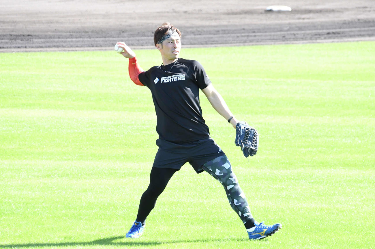 沖縄・名護で先乗り自主トレに励む日本ハム江越（撮影・石井翔太）