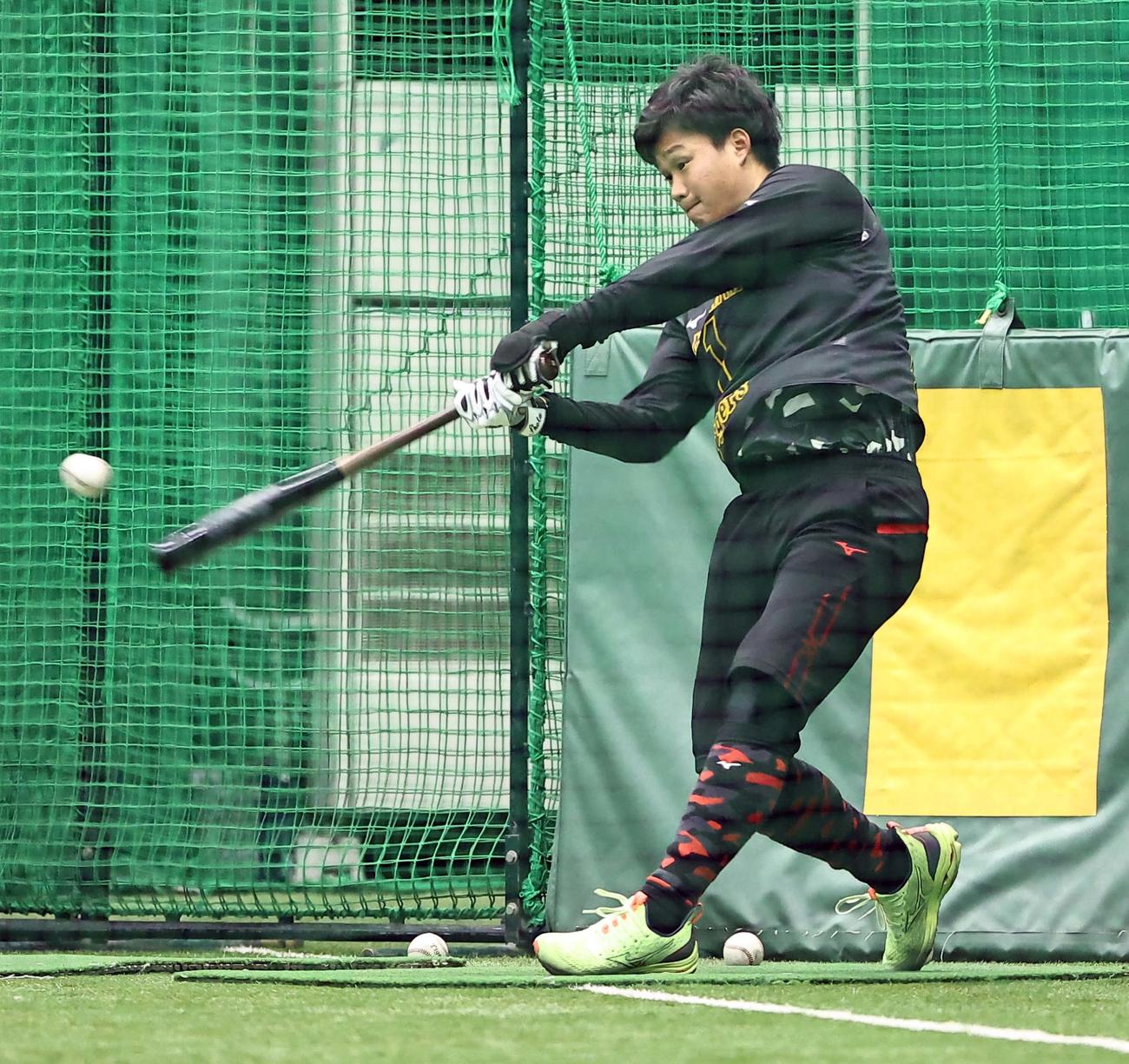 フリー打撃を行う阪神森下（撮影・上田博志）