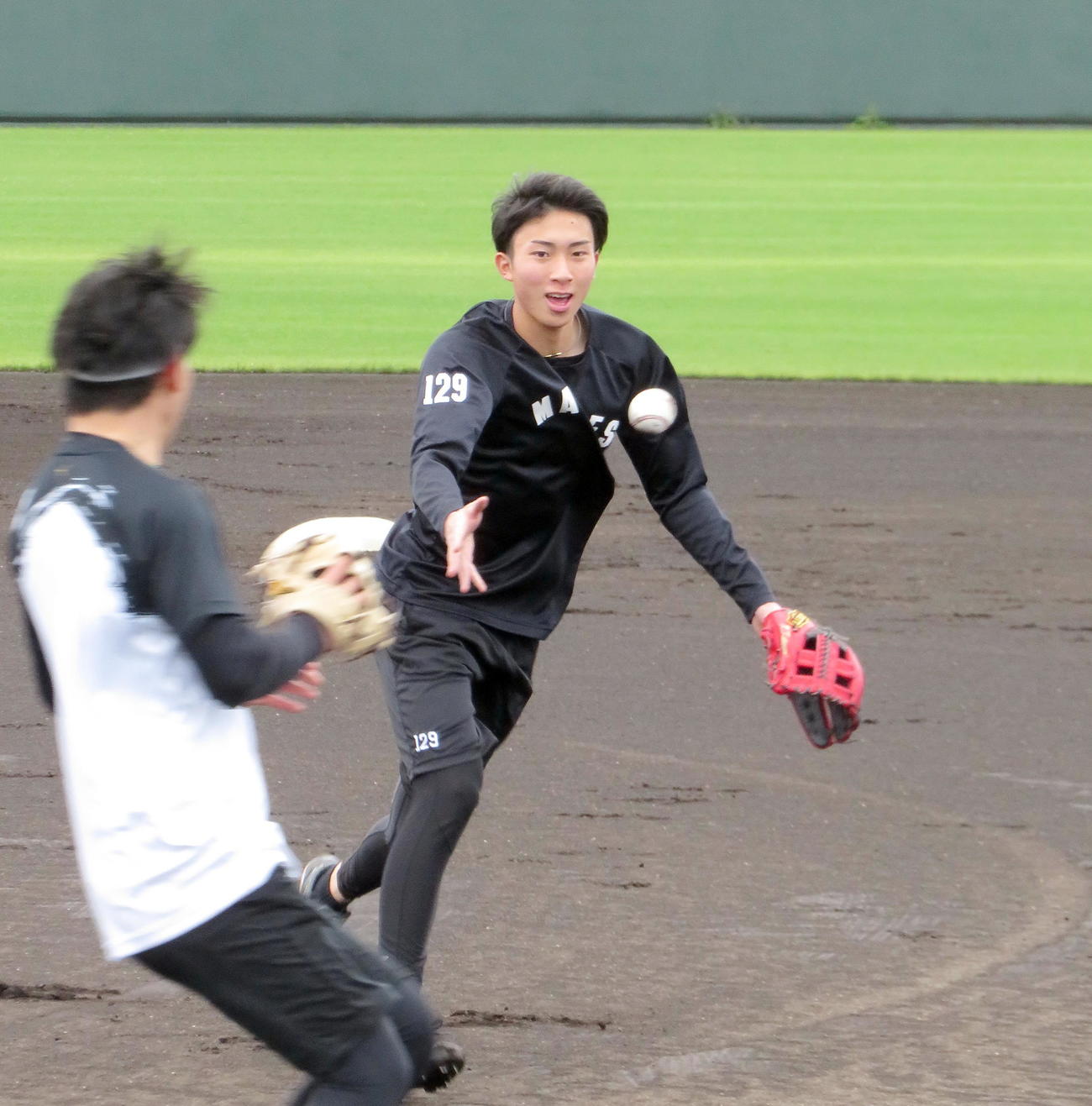 ノックでボールをトスするロッテ育成3位の勝又（撮影・鎌田直秀）