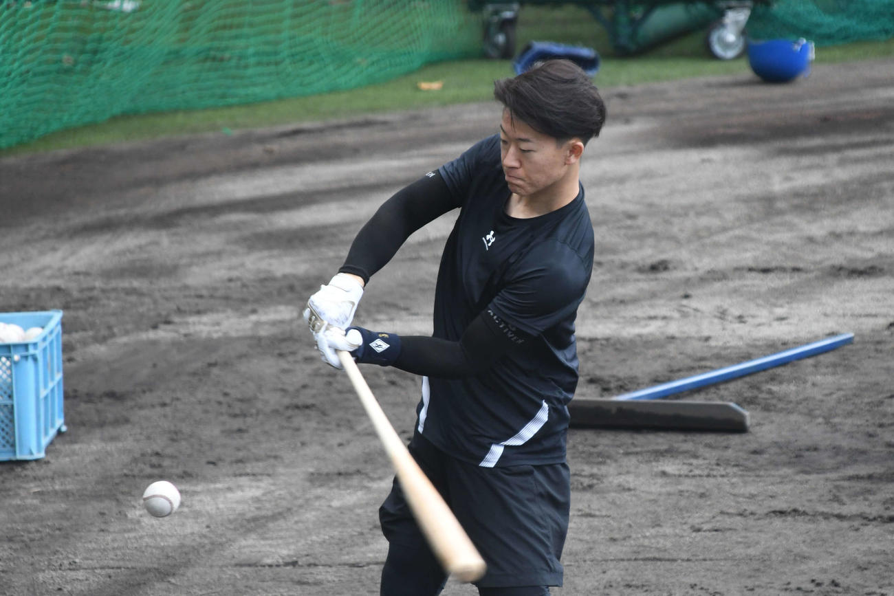 沖縄・名護で自主トレに励む日本ハム矢沢（撮影・石井翔太）