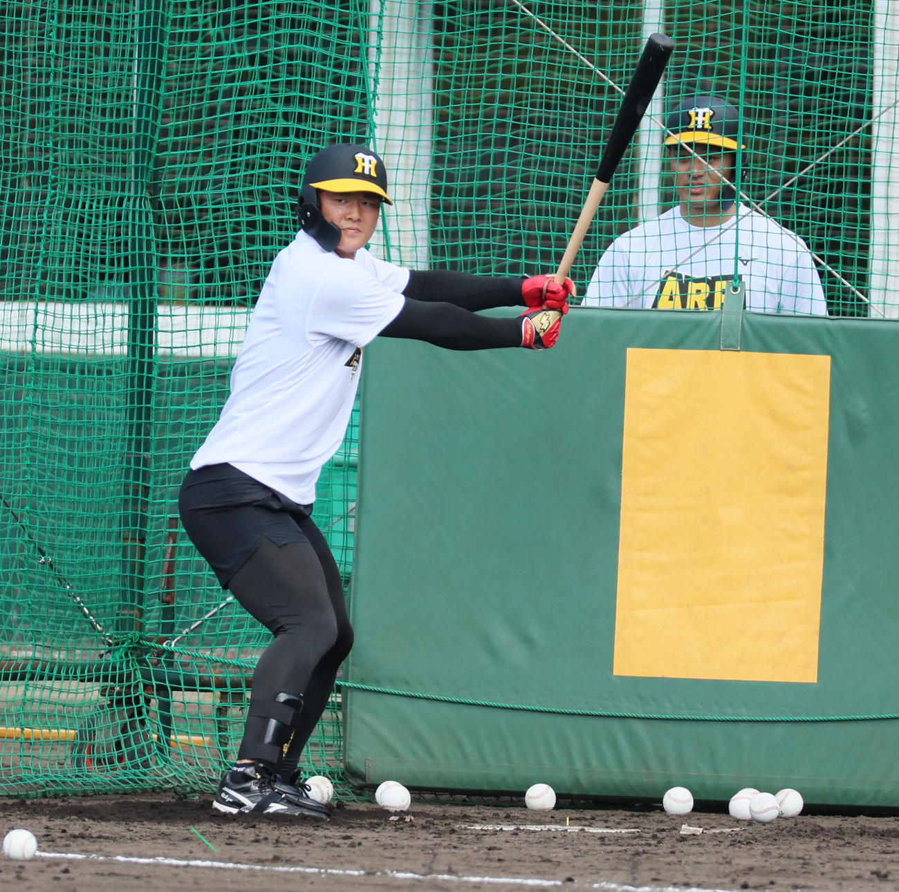 合同自主トレ初日、打席で構える阪神前川（撮影・加藤哉）
