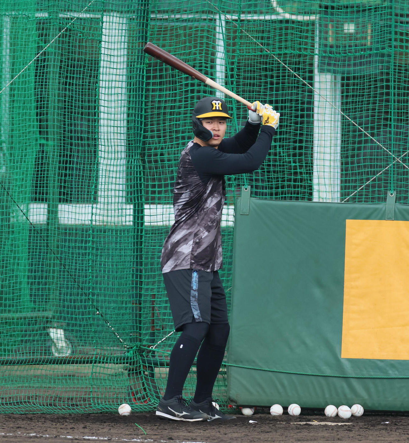 合同自主トレに参加し打撃練習する佐藤輝（撮影・加藤哉）