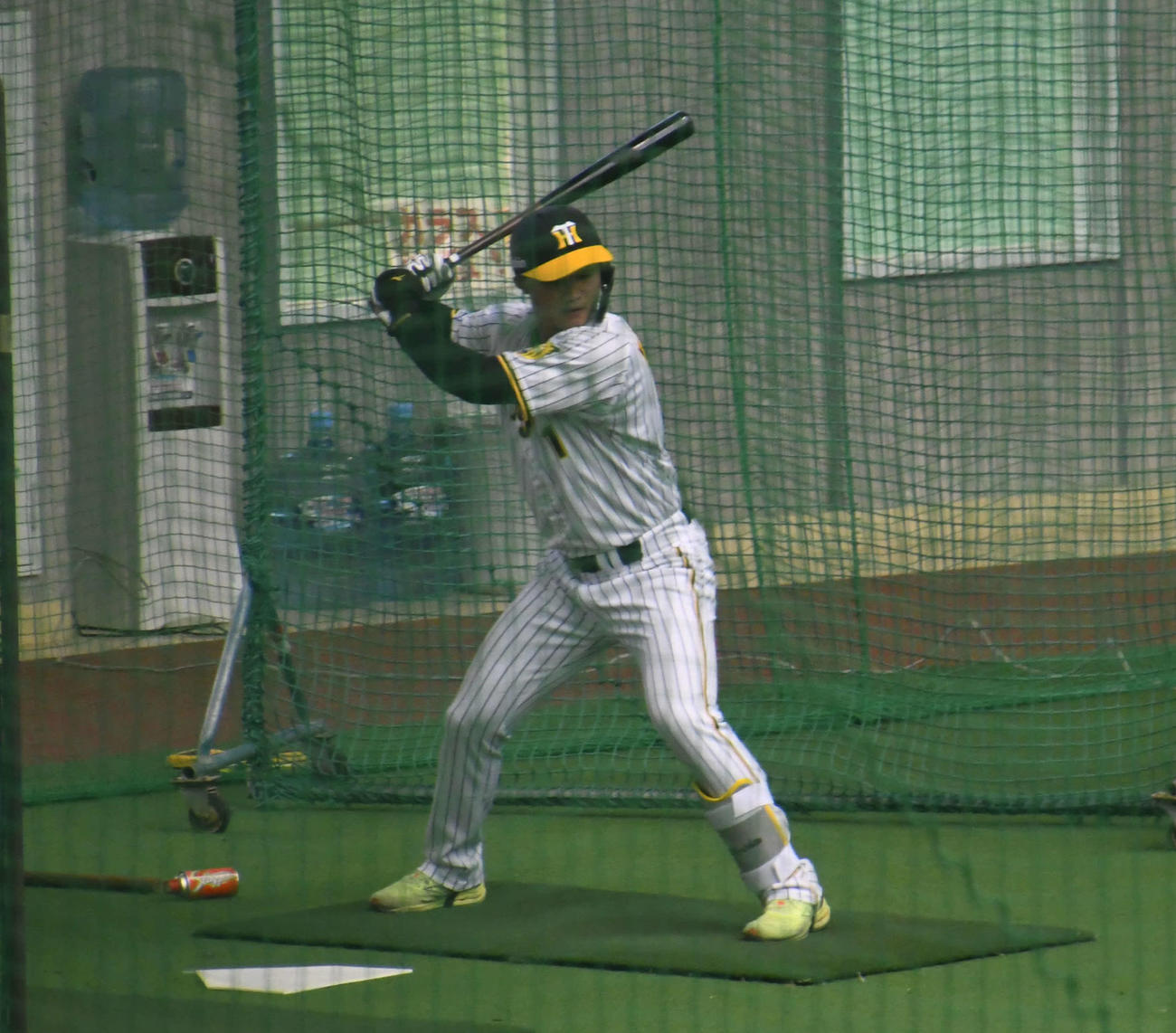 マシンを使ってフリー打撃を行うドラフト1位森下翔太外野手（22＝中大）（撮影・三宅ひとみ）