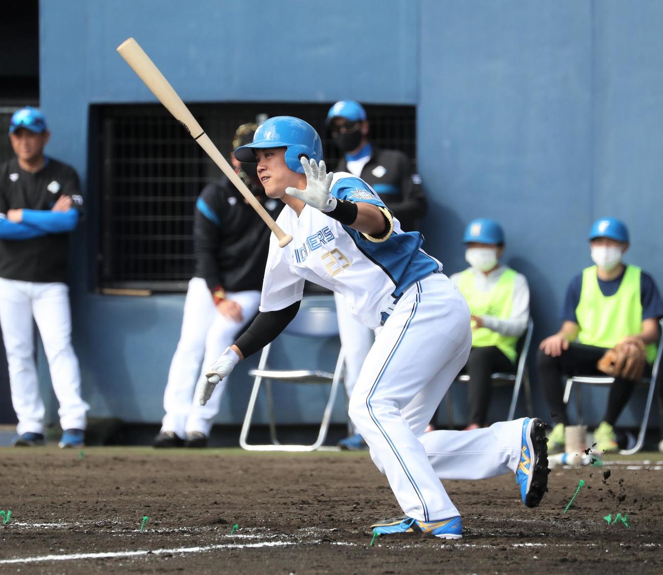 紅白戦　2回裏2死、左前打を放つ伏見（撮影・黒川智章）