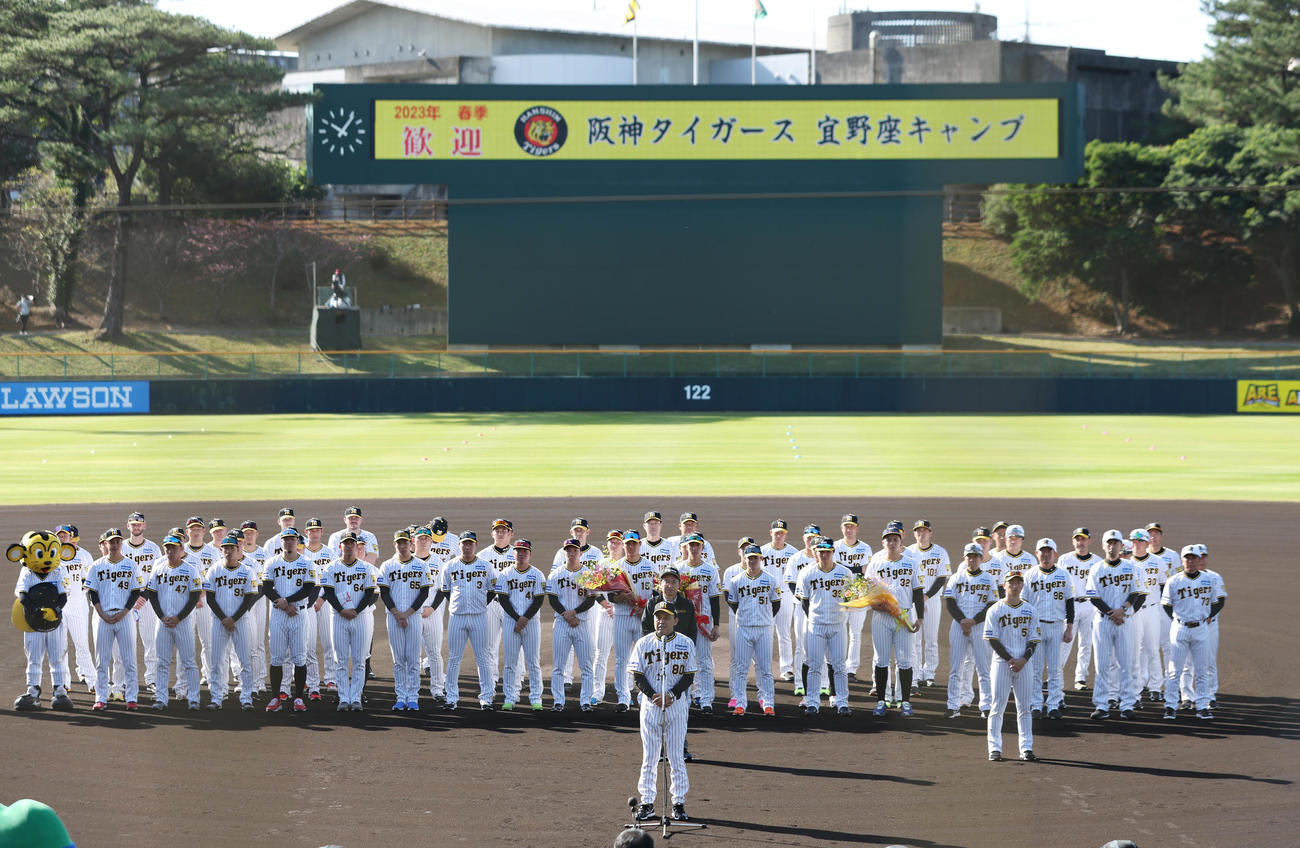 春季キャンプが始まり、歓迎セレモニーを受ける阪神ナイン（撮影・前田充）