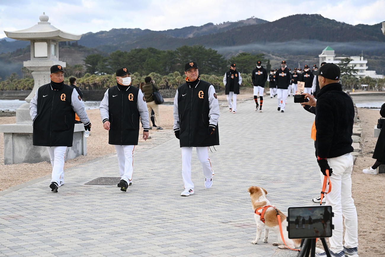 ファンの連れてきた犬を見つめ青島神宮に参拝に向かう巨人の、左から中田翔、丸、坂本（撮影・滝沢徹郎）