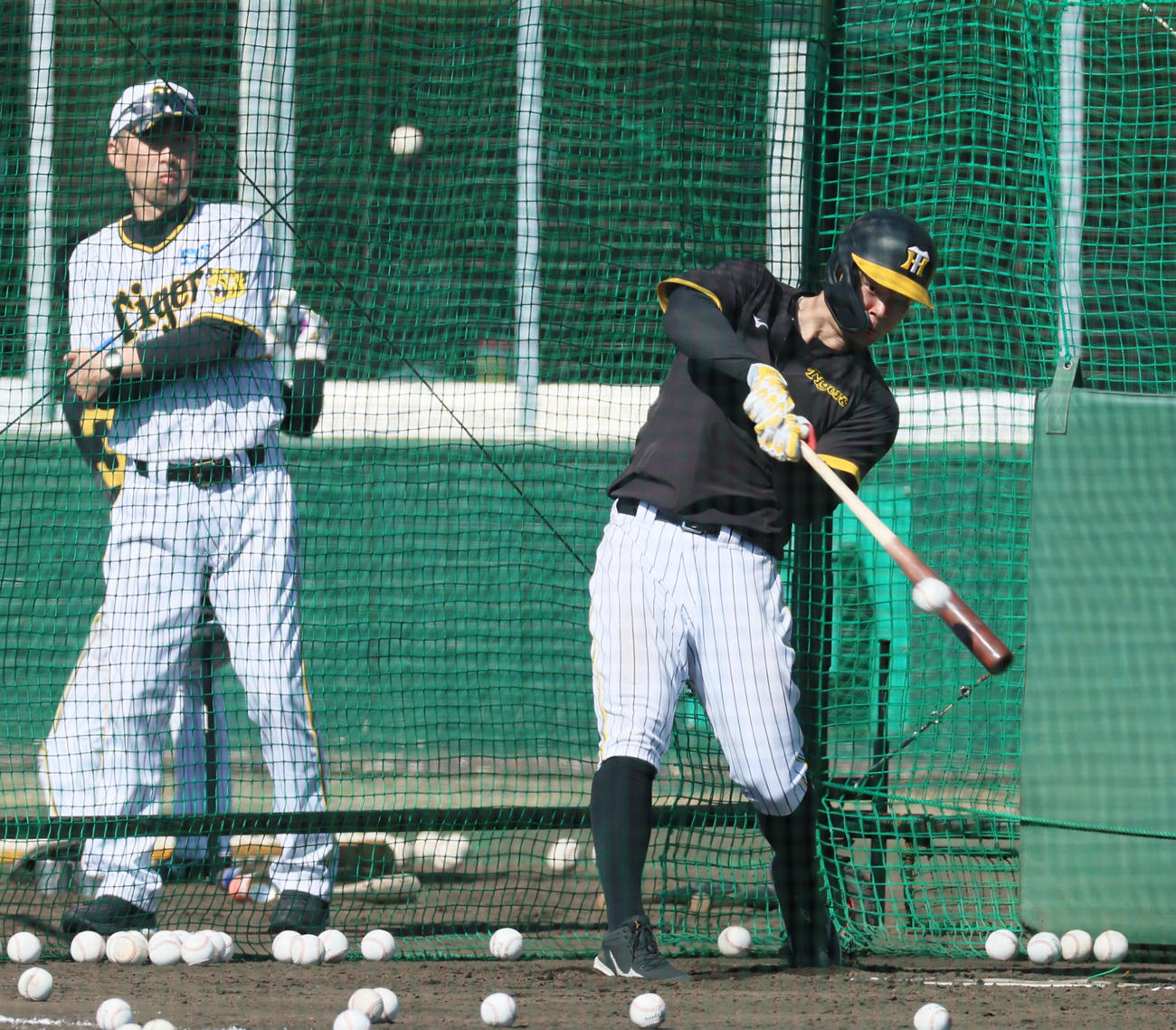 打撃練習を行う佐藤輝。左は今岡コーチ（撮影・加藤哉）
