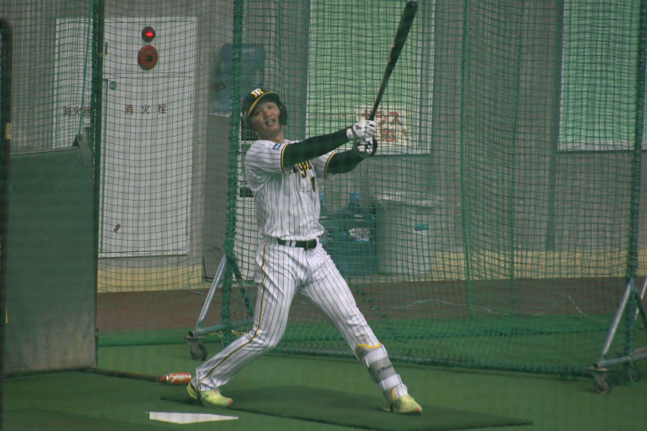 マシンを使ってフリー打撃を行うドラフト1位森下翔太外野手（22＝中大）（撮影・三宅ひとみ）