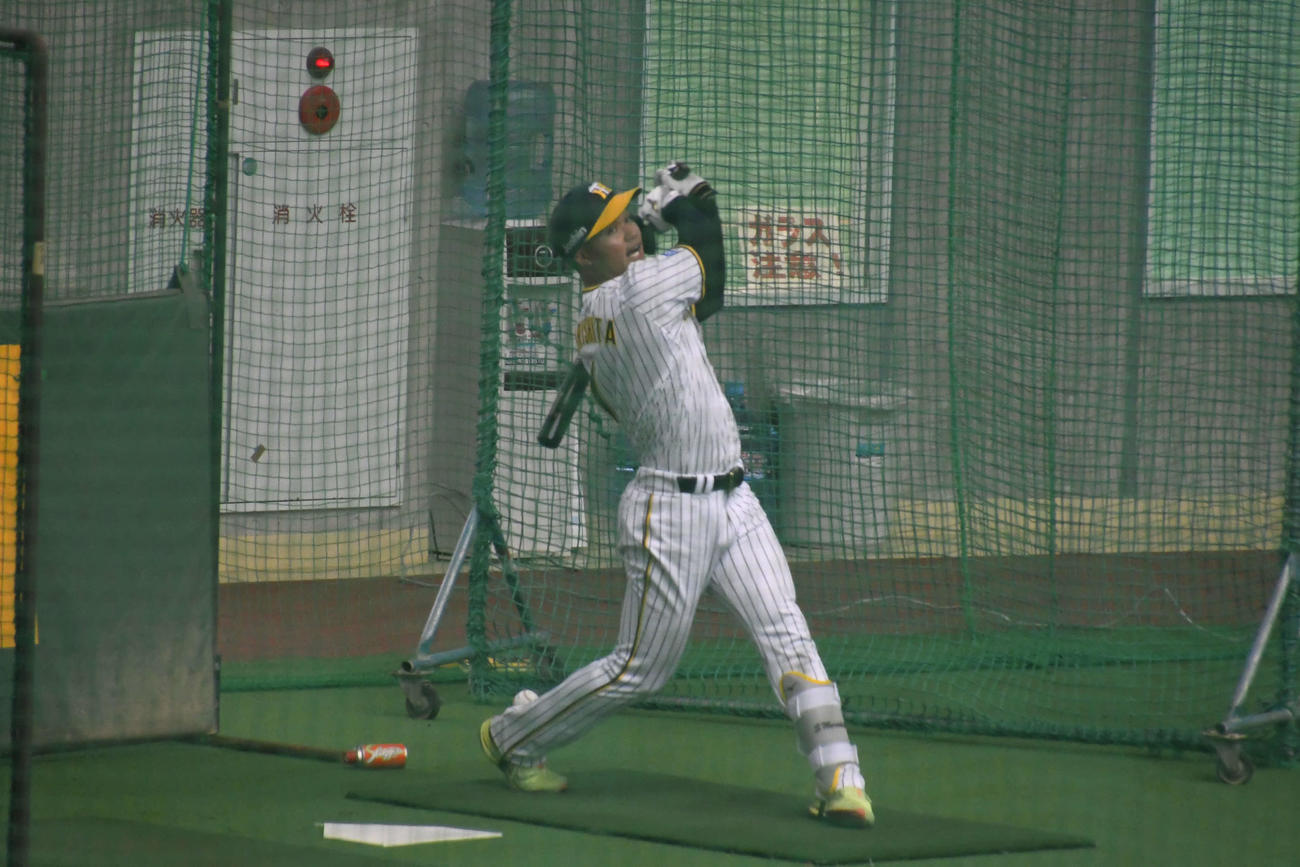 マシンを使ってフリー打撃を行うドラフト1位森下翔太外野手（22＝中大）（撮影・三宅ひとみ）
