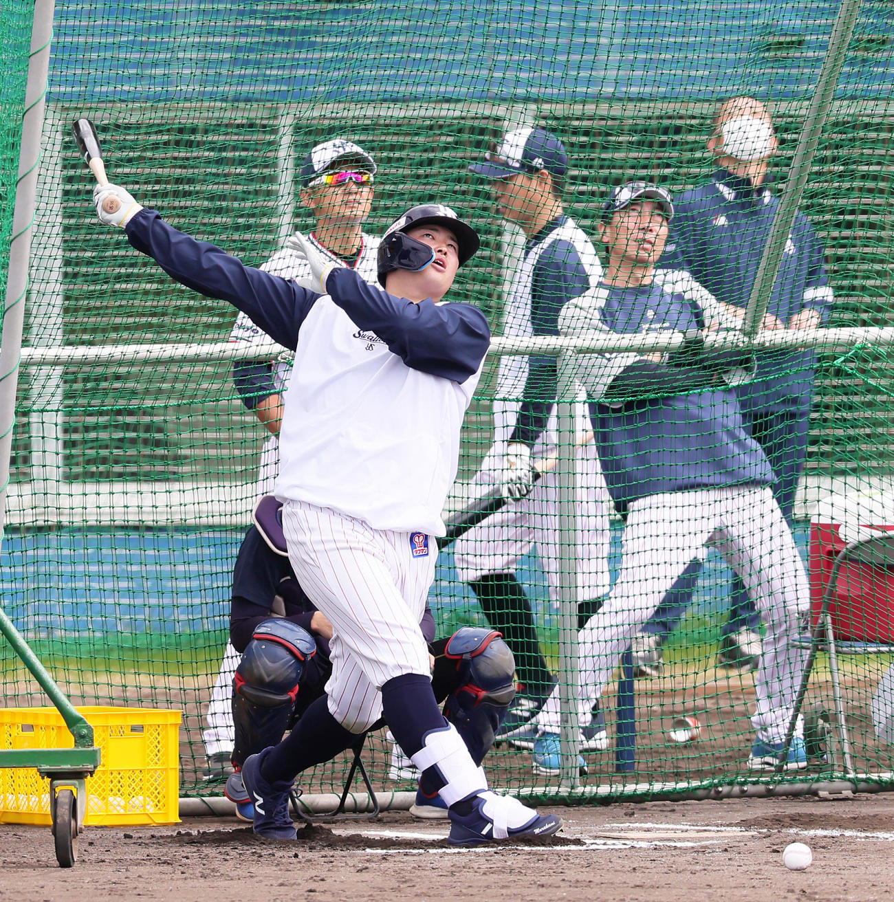 ヤクルト高津監督（右）が見守る中、打撃練習する村上（撮影・足立雅史）