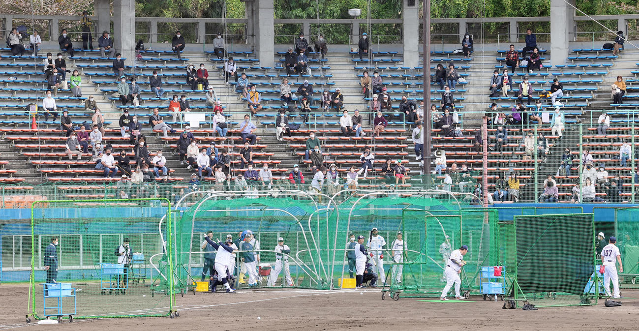 ファンが見つめる中、打撃練習を行うヤクルト村上（撮影・足立雅史）