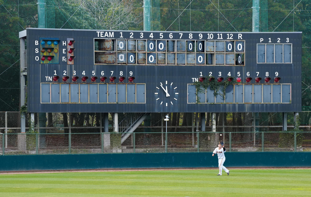 外野ノックを受ける巨人浅野（撮影・江口和貴）