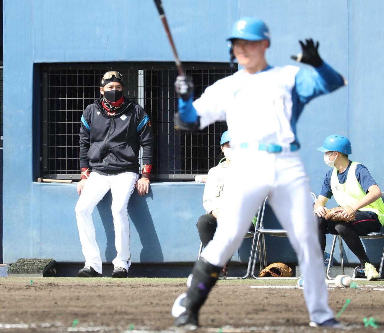 紅白戦で清宮の打席を見つめる日本ハム新庄監督（撮影・黒川智章）