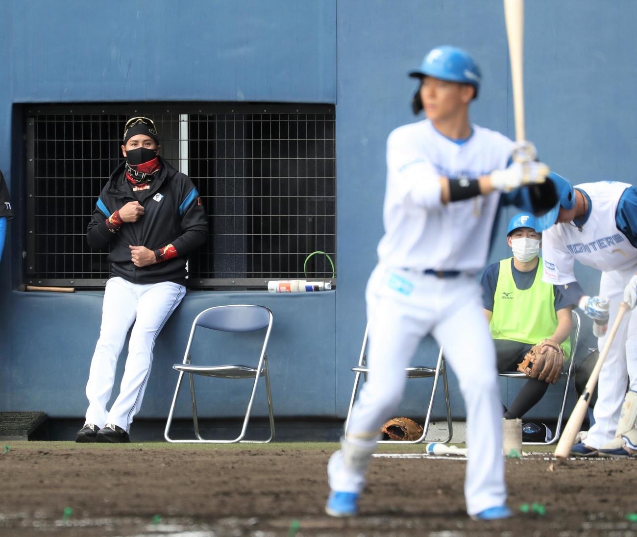 2回裏、矢沢の打席を見つめる日本ハム新庄監督（撮影・黒川智章）