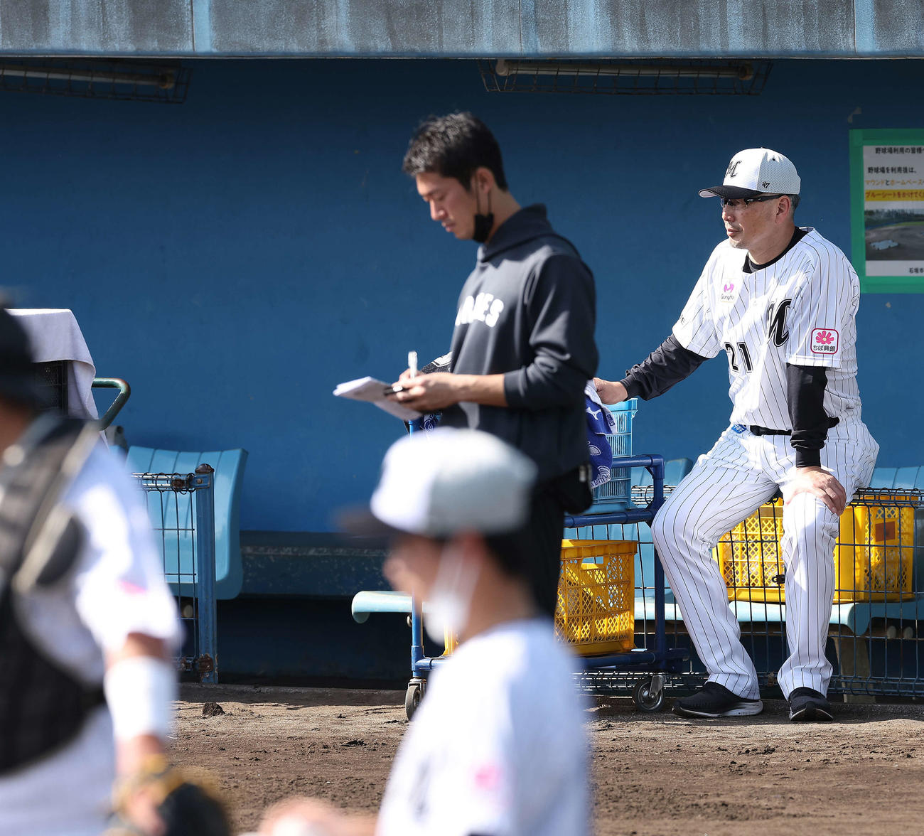 練習を見るロッテ吉井監督（撮影・河田真司）