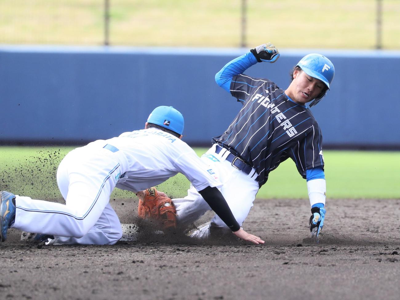 3回表紅組無死一塁、二塁盗塁を決める日本ハム奈良間（撮影・黒川智章）