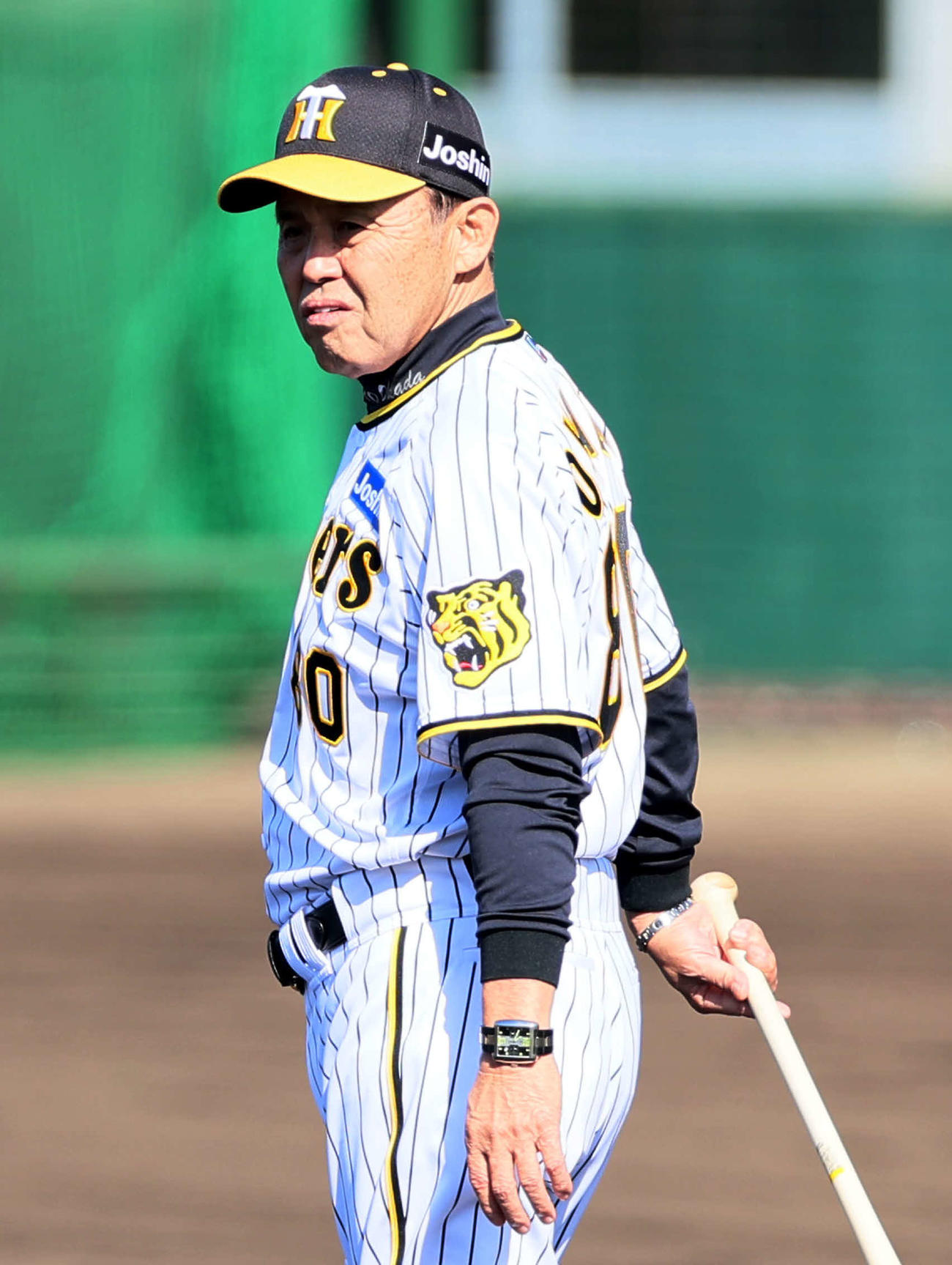 グラウンドを見渡す岡田監督（撮影・加藤哉）