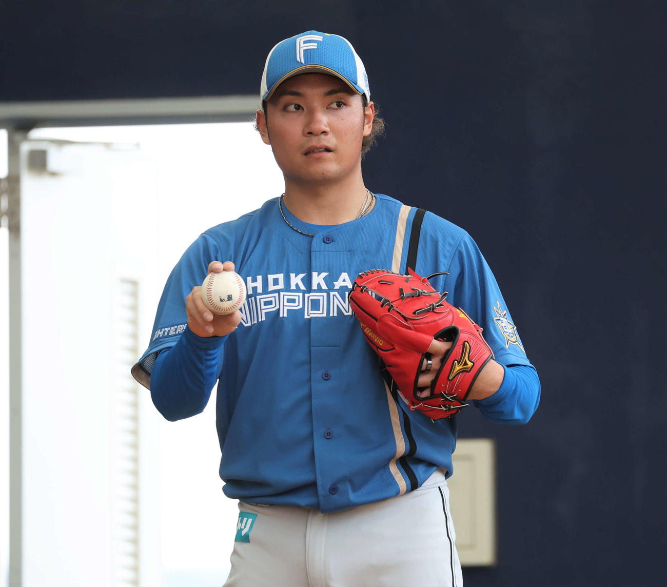 WBC球を使いブルペンで投球する日本ハム伊藤（撮影・黒川智章）