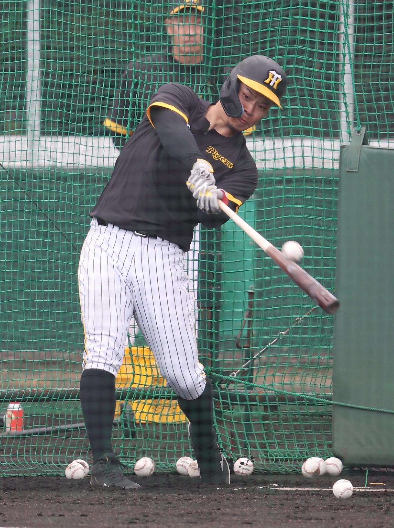 フリー打撃で14本の柵越えを放った阪神佐藤輝（撮影・前田充）