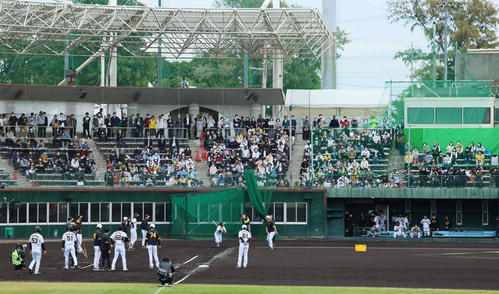 阪神キャンプ初の週末でスタンドでは多くのファンが走塁練習などを見学（撮影・加藤哉）