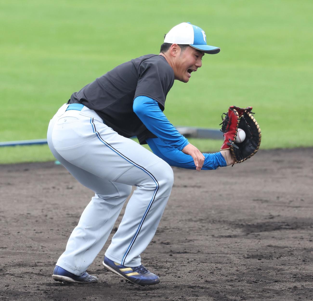 ノックを受ける日本ハム清宮（撮影・黒川智章）