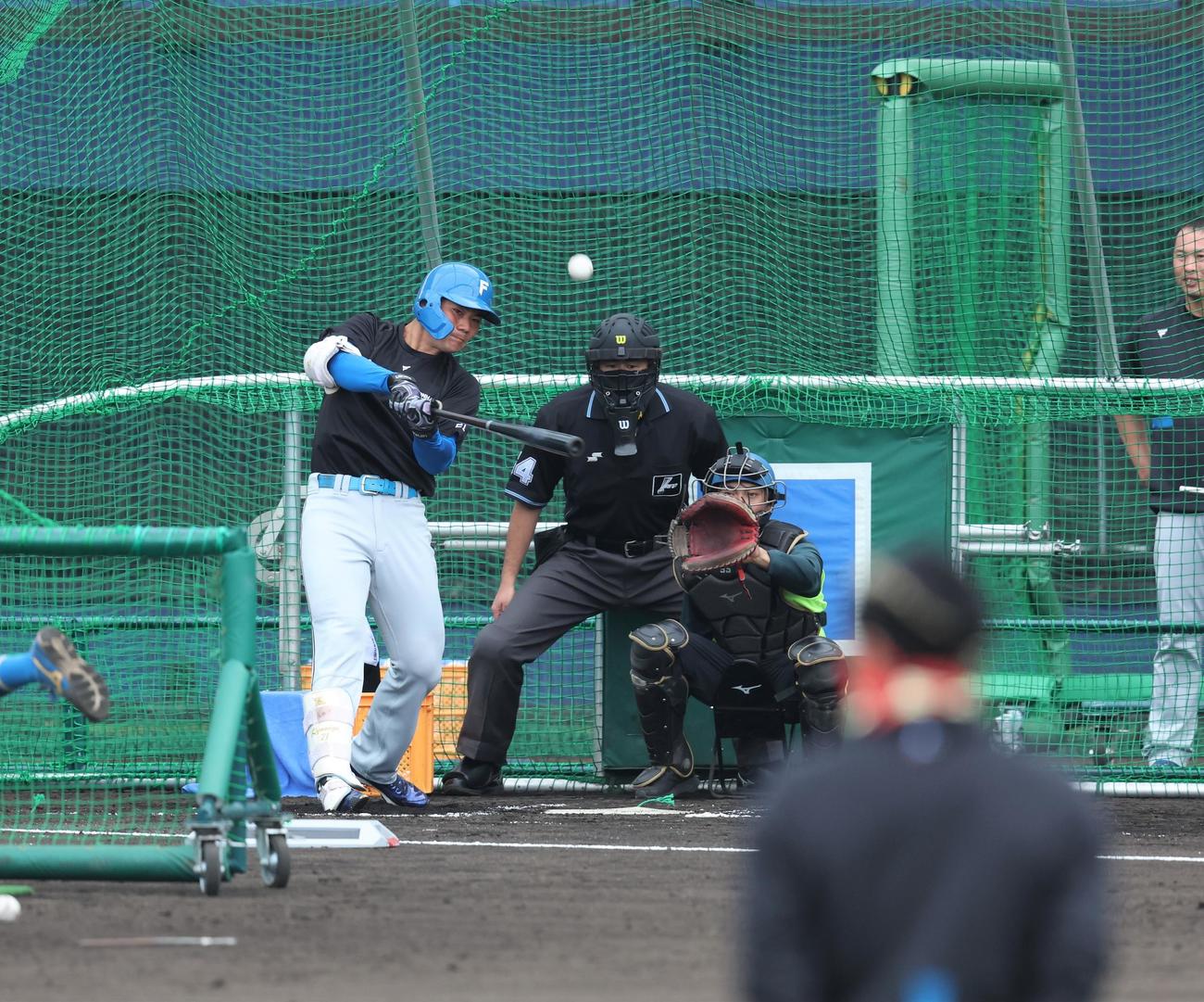 フリー打撃する日本ハム清宮幸太郎。手前は新庄監督（撮影・黒川智章）