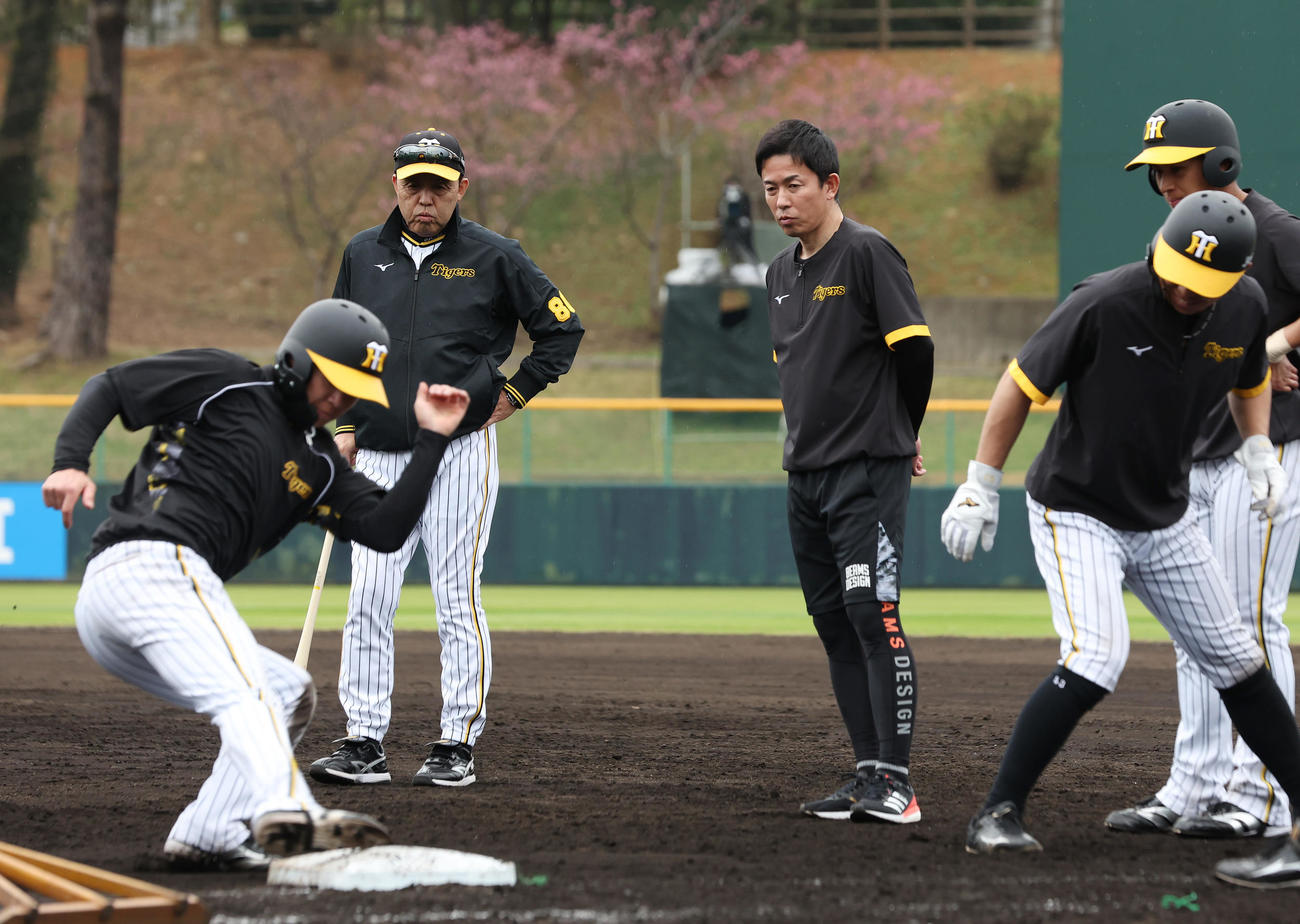 足から帰塁する阪神中野（左端）を見つめる岡田監督（同2人目）と赤星臨時コーチ（撮影・前田充）