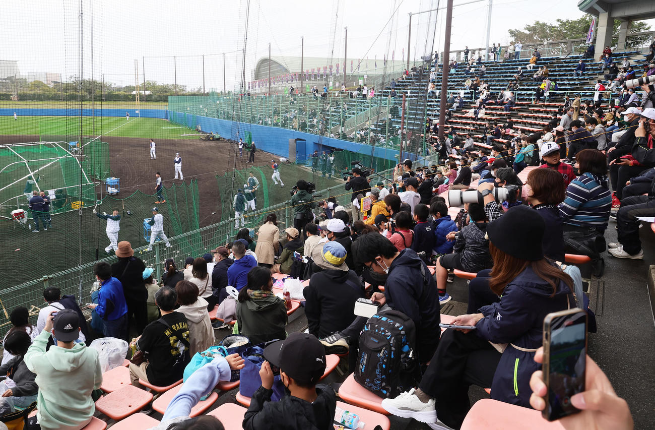 キャンプ初の日曜日を迎えたヤクルト。いつも以上に打撃練習する村上（左端）へ多くの視線が集まります（撮影・足立雅史）