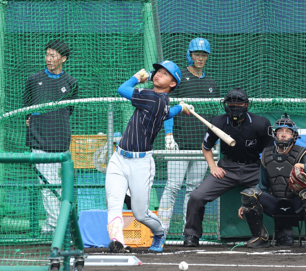 キャンプイン後、初フリー打撃する日本ハム加藤豪（撮影・黒川智章）