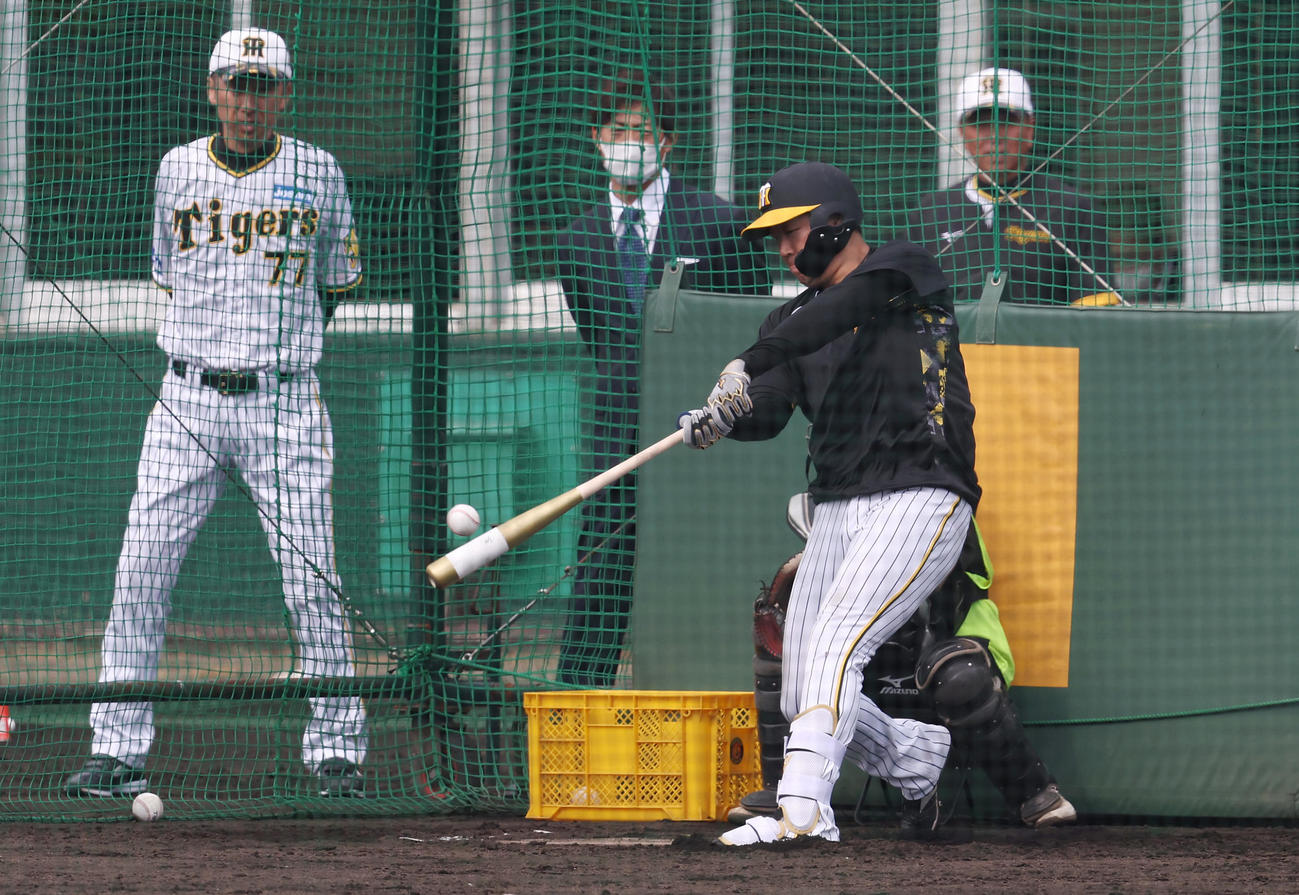 フリー打撃を行う阪神大山。後方は左から今岡コーチ、桧山氏、水口コーチ（撮影・前田充）