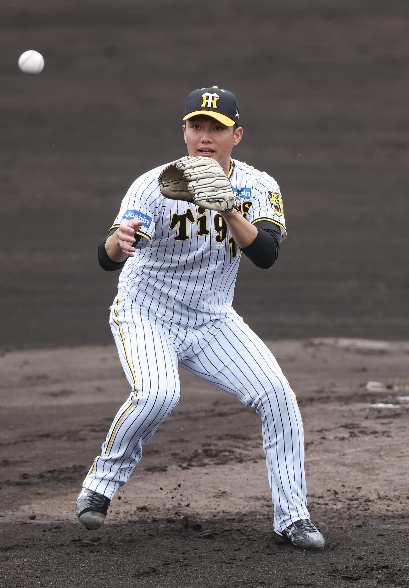 投内連係を行う阪神西純矢（撮影・前田充）