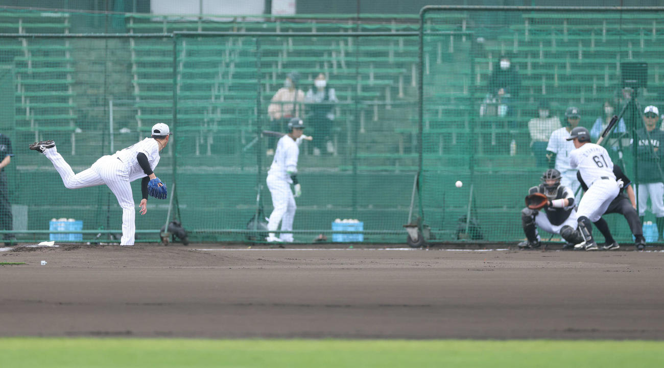 山本の打撃投手に入るロッテ秋山（撮影・河田真司）