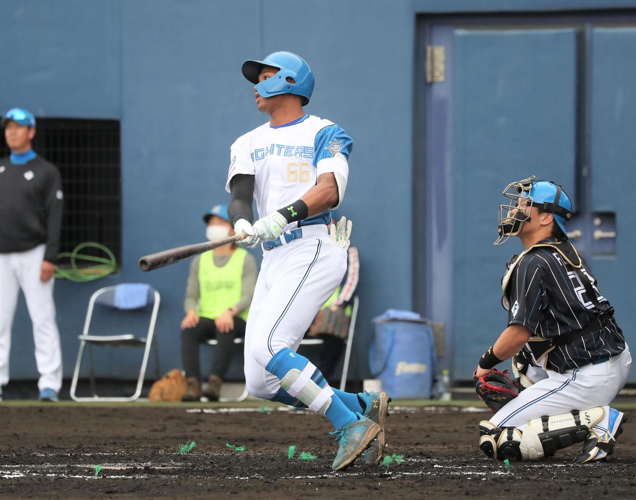 紅白戦　2回裏白組1死、中越え本塁打を放つ万波（撮影・黒川智章）