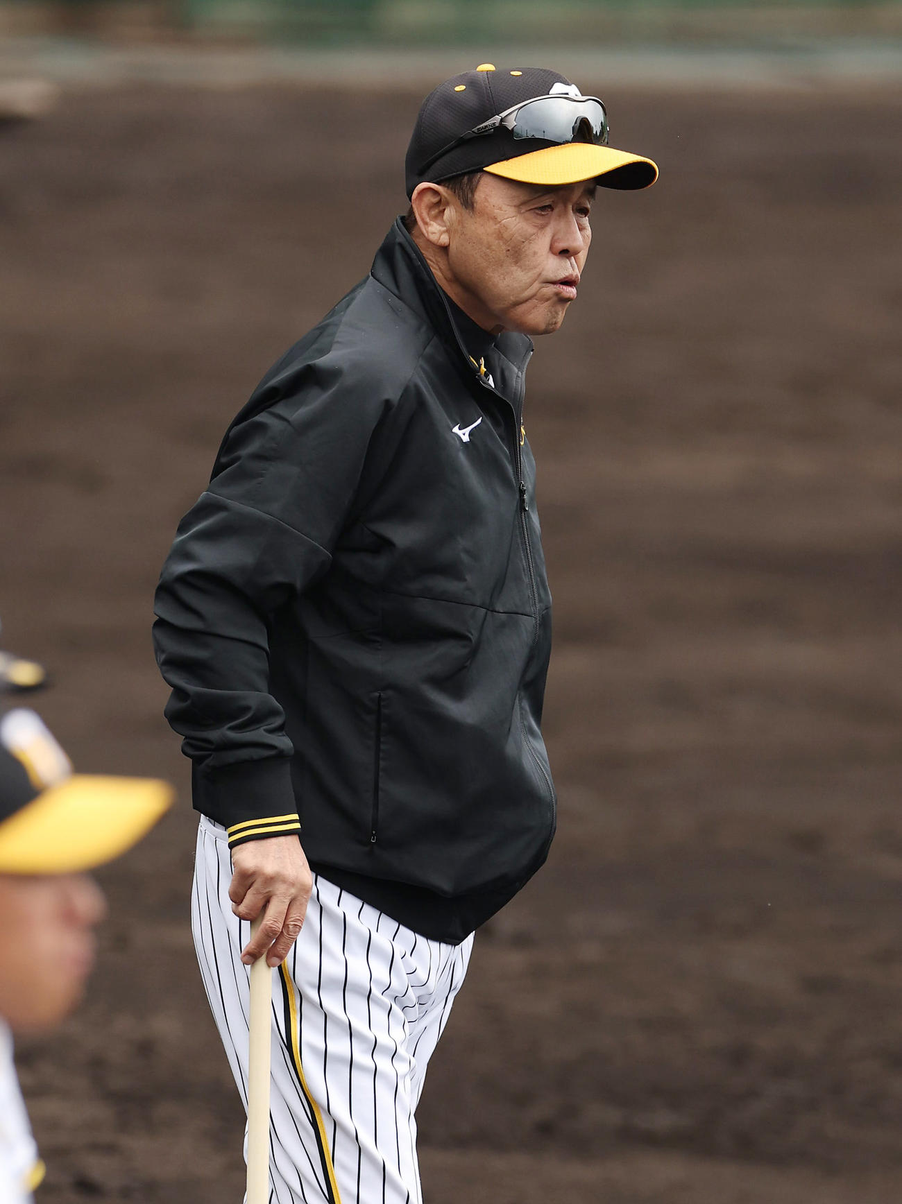 厳しい表情で練習を見守る阪神岡田監督（撮影・前田充）