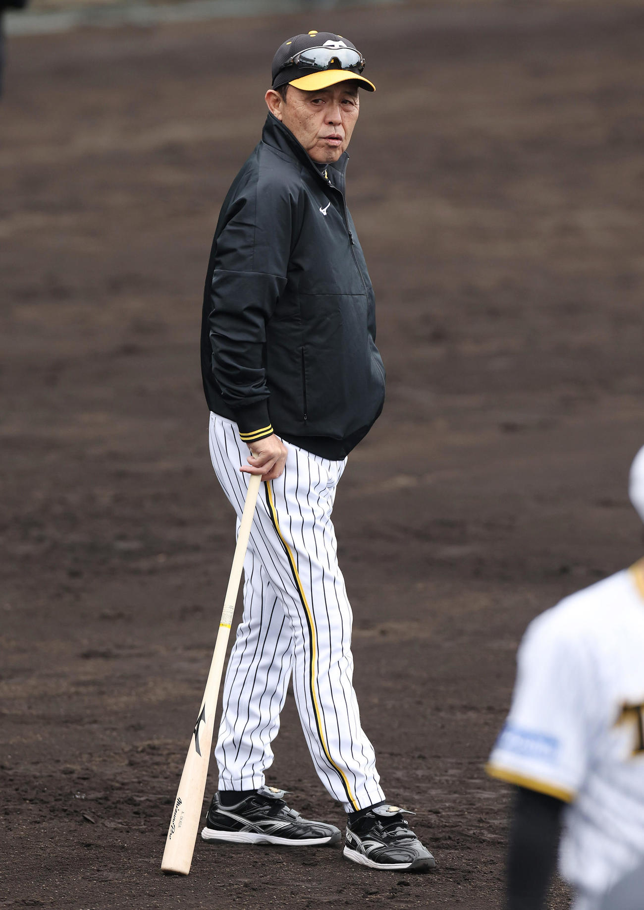 練習を見守る阪神岡田監督（撮影・前田充）