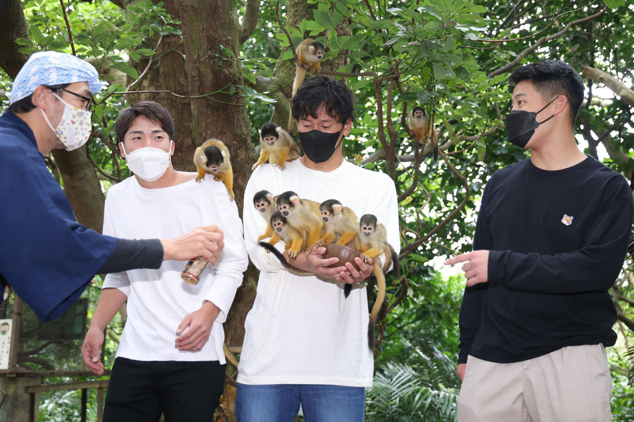 リスザルと戯れるロッテの、左から1人おいて友杉、高野、菊地（撮影・河田真司）
