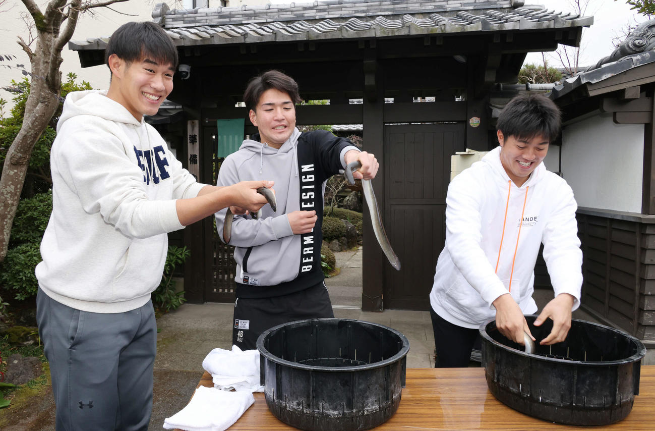 広島日南キャンプ　初めてのキャンプ休日、ウナギのつかみ取りを楽しむドラフト6位の長谷部（左）、ドラフト5位の河野（中央）、ドラフト3位の益田（撮影・加藤孝規）