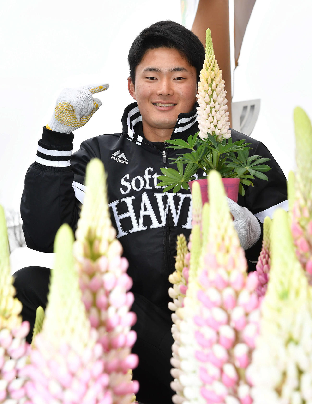 キャンプ休日の新人選手体験で、ソフトバンクの宮崎キャンプ20周年記念モニュメントを花で装飾する生海（撮影・岩下翔太）