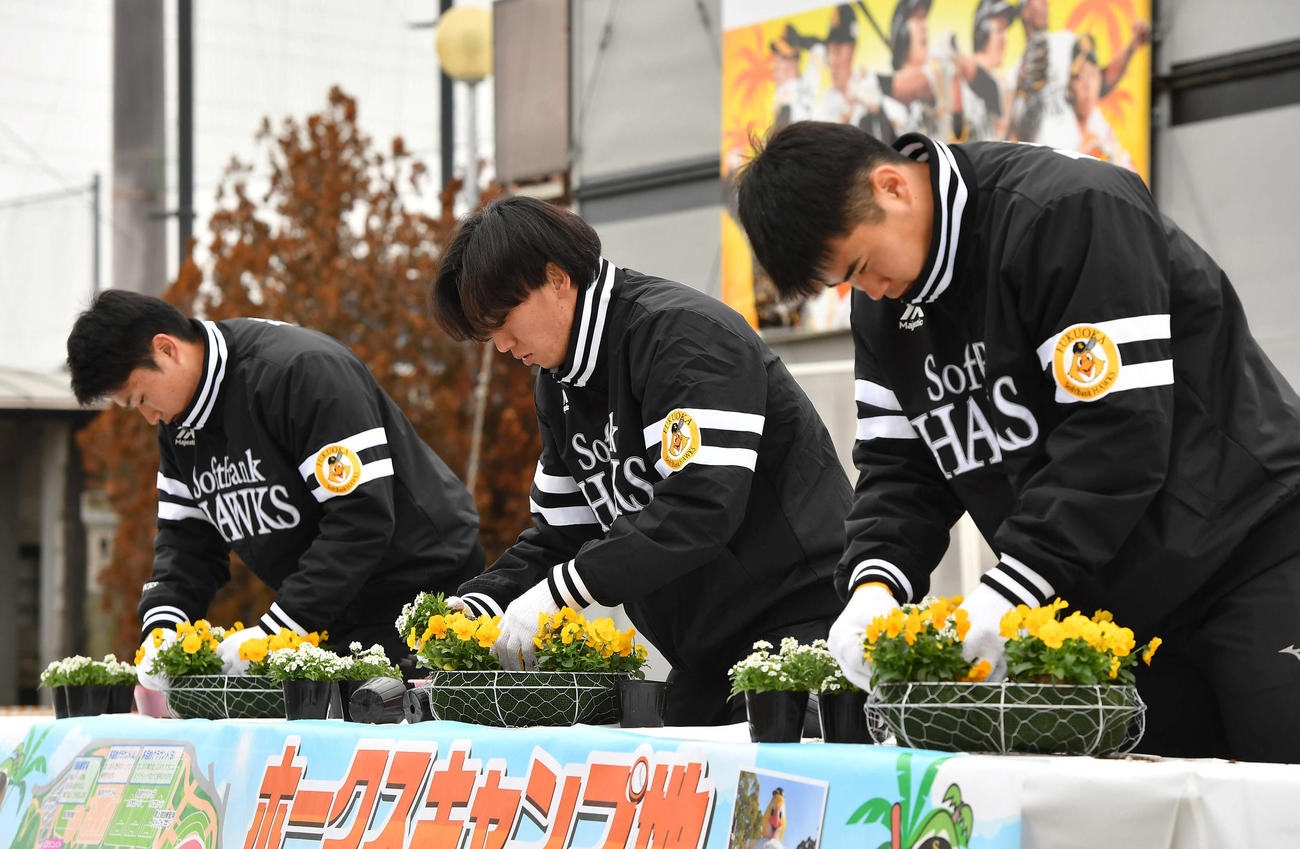 キャンプ休日の新人選手体験でリースを作る、右から松本晴、大津、生海（撮影・岩下翔太）