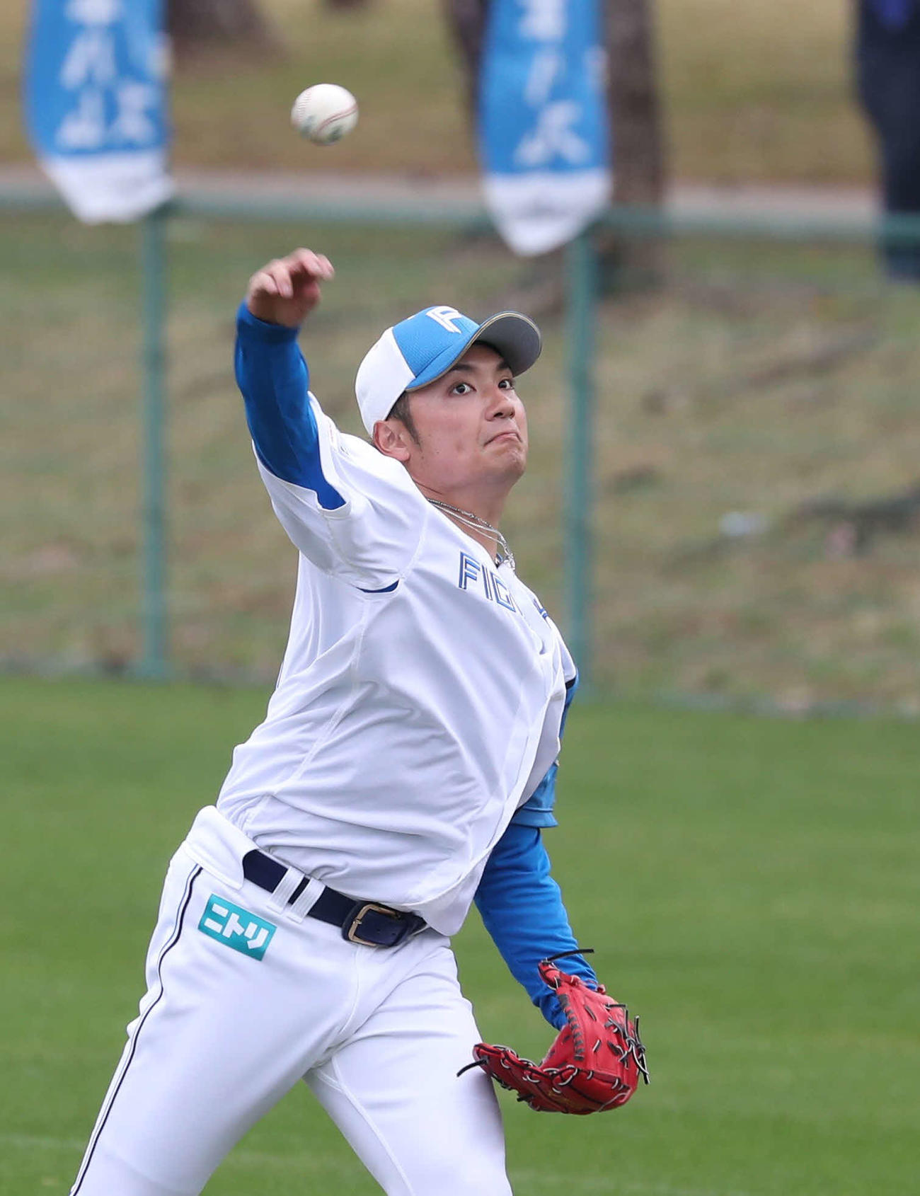 ミズノから提供された特別仕様球でキャッチボールする日本ハム伊藤（撮影・黒川智章）